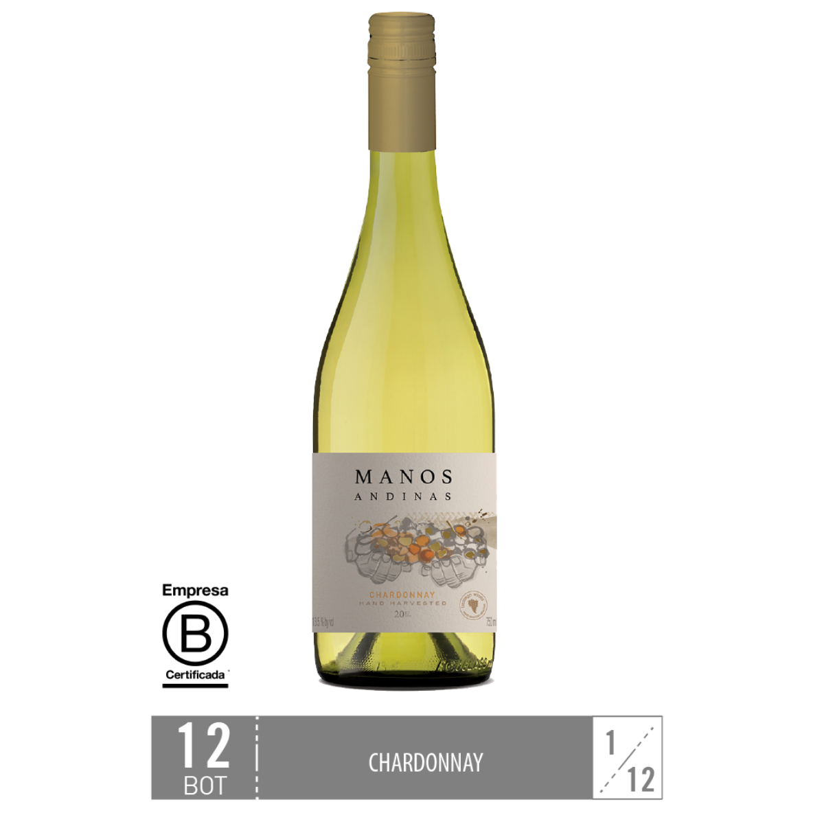Caja 12 Unidades: Manos Andinas Chardonnay - Trasiego Wines
