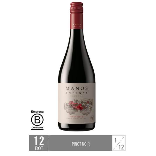 Caja 12 Unidades: Manos Andinas Pinot Noir Reserva - Trasiego Wines