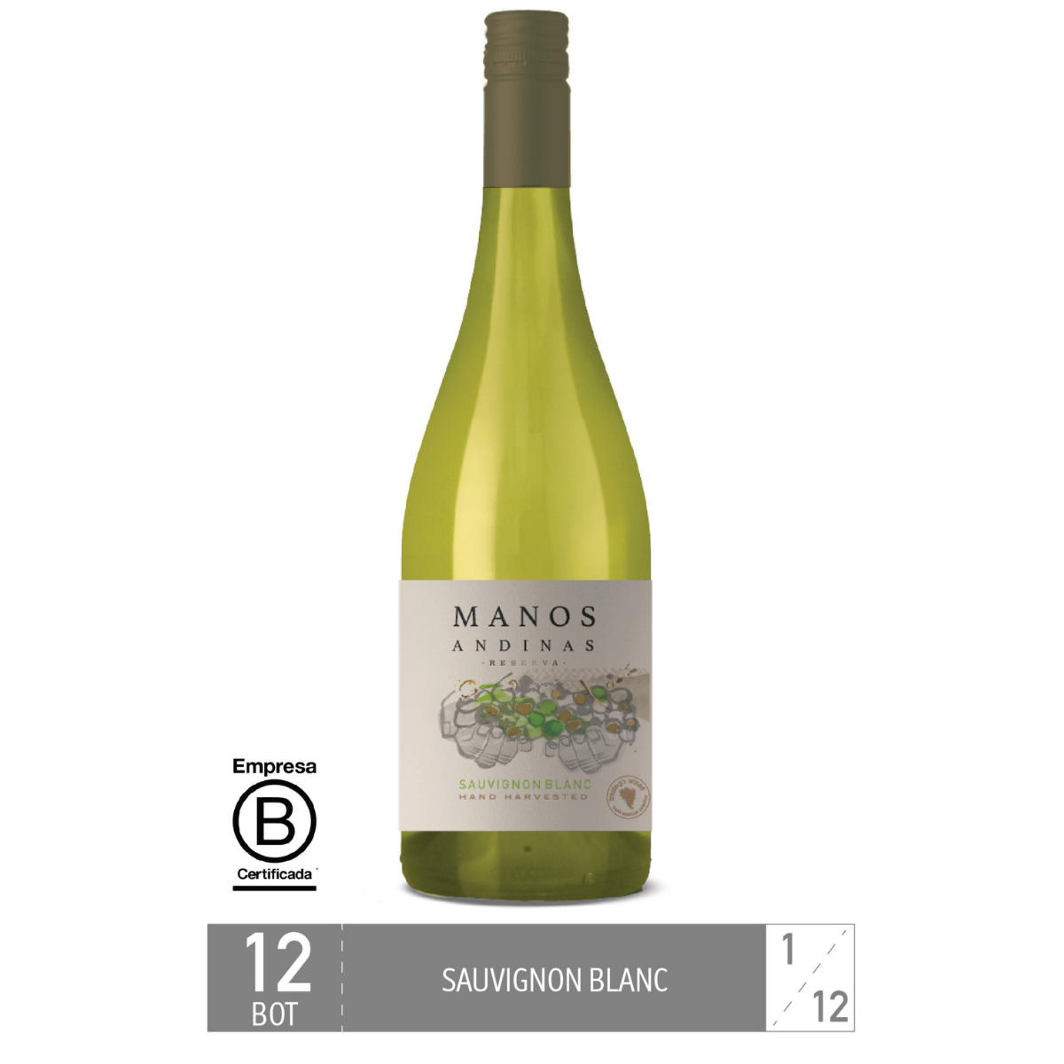 Caja 12 Unidades: Manos Andinas Sauvignon Blanc Reserva - Trasiego Wines